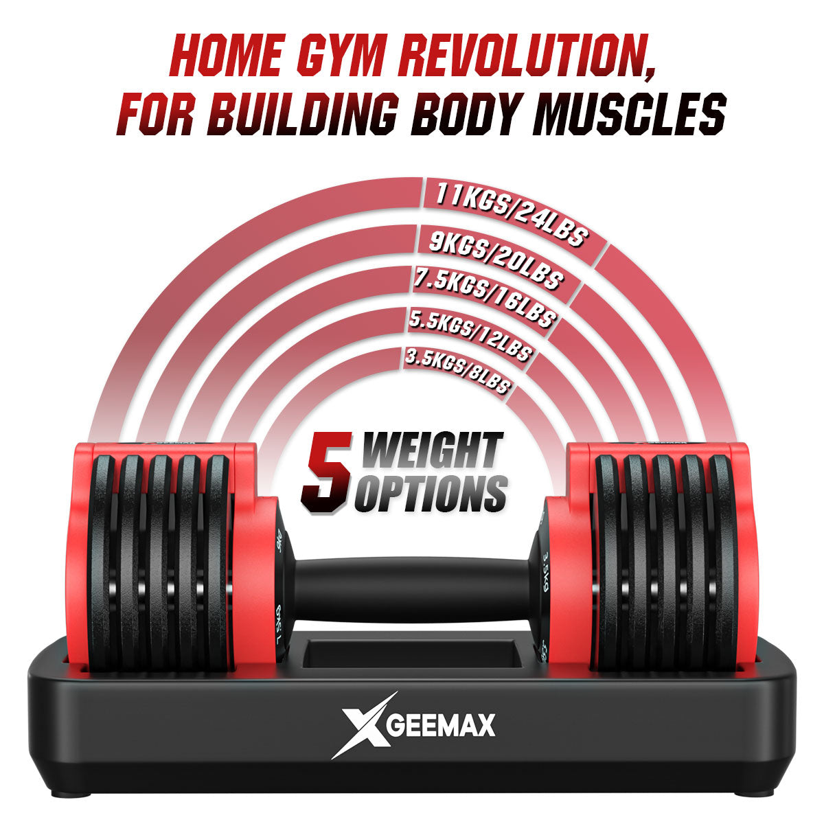 25LBS 5 IN 1 Adjustable Dumbbell Gym Weights for Fitness & Workout